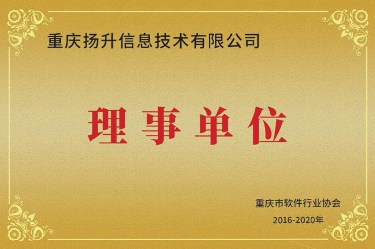 重庆软件行业协会理事单位